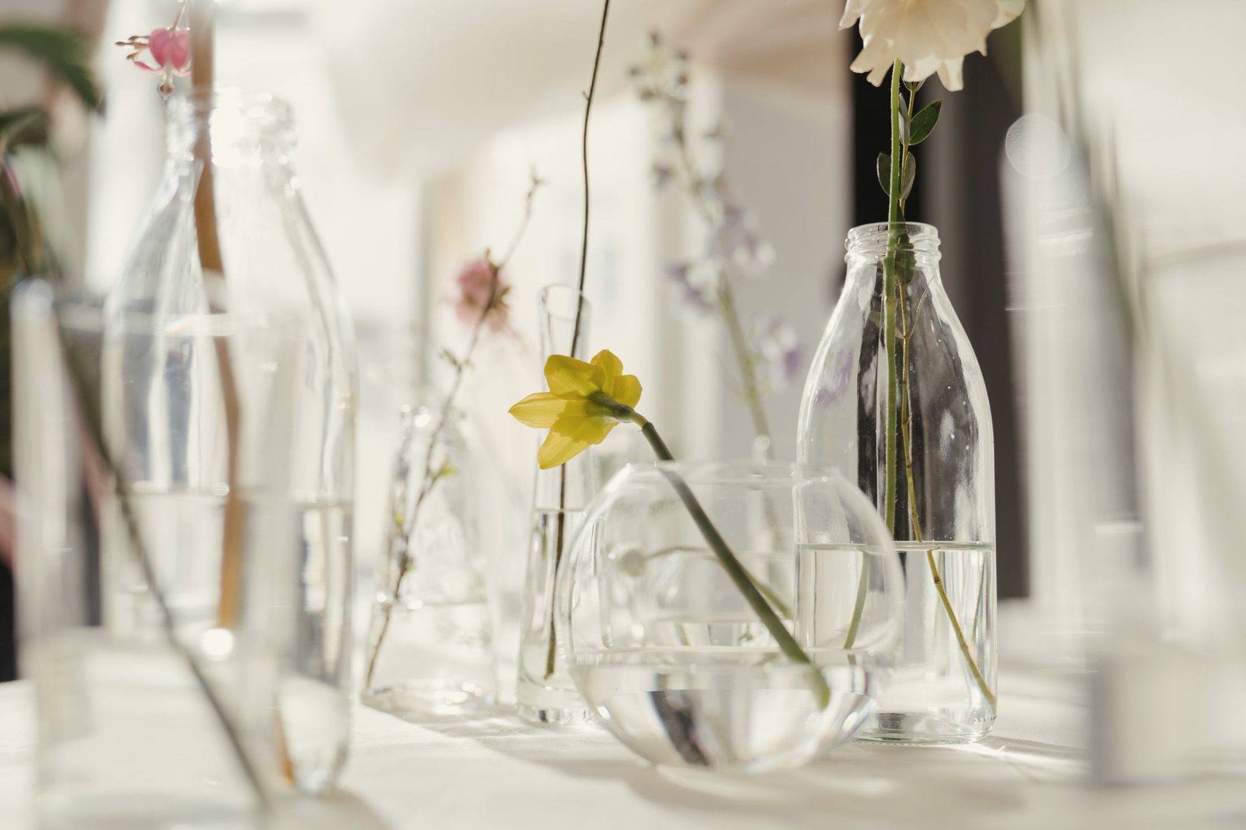 Single stems in a row of clear glass bottles in soft light